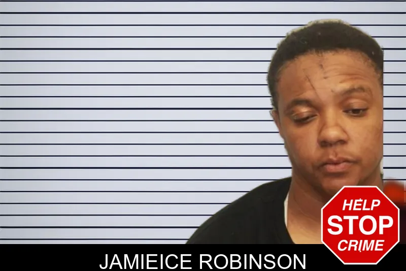 Jamieice Robinson mugshot