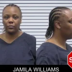Jamila Williams mugshot