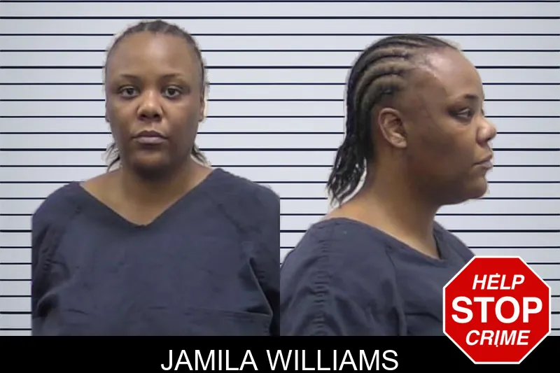 Jamila Williams mugshot