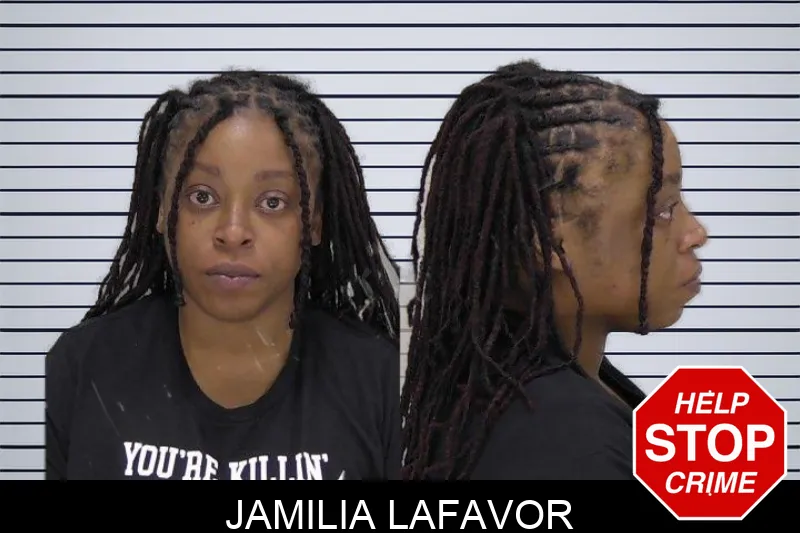 Jamilia Lafavor mugshot