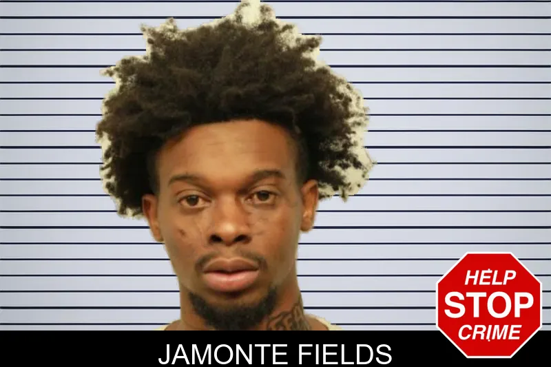 Jamonte Fields mugshot