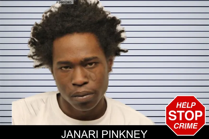 Janari Pinkney mugshot – Chatham County , Georgia Janari Pinkney mugshot