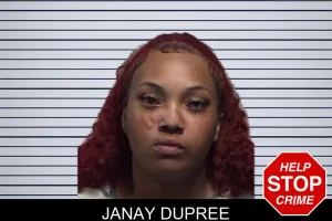Janay Dupree mugshot