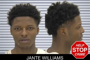 Jante Williams mugshot