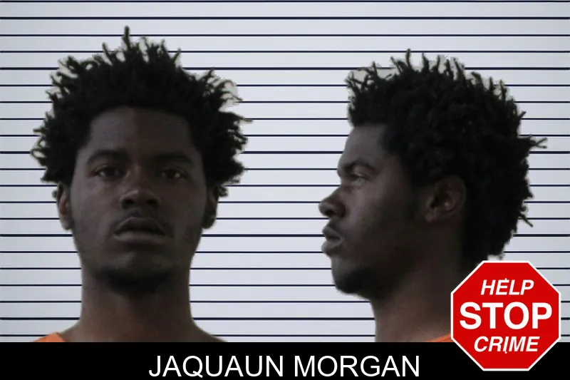Jaquaun Morgan mugshot