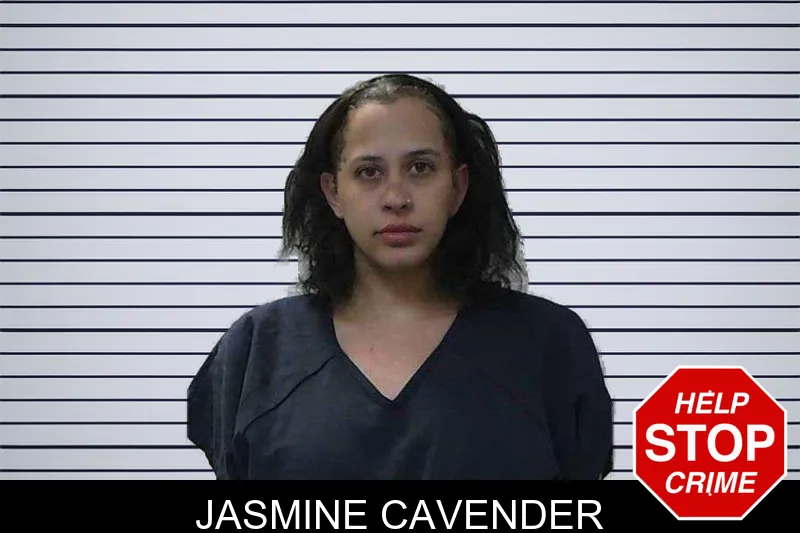Jasmine Cavender mugshot – Gilmer County , Georgia Jasmine Cavender mugshot