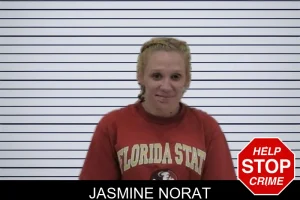 Jasmine Norat mugshot