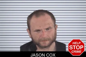 Jason Cox mugshot