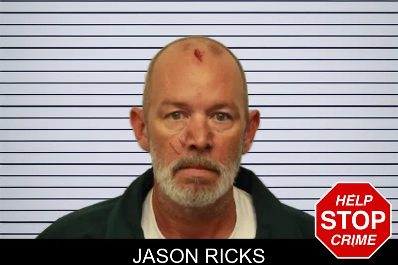 Jason Ricks mugshot – Chatham County , Georgia Jason Ricks mugshot