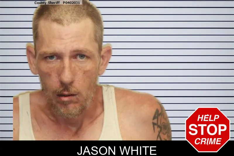 Jason White mugshot – Chatham County , Georgia Jason White mugshot