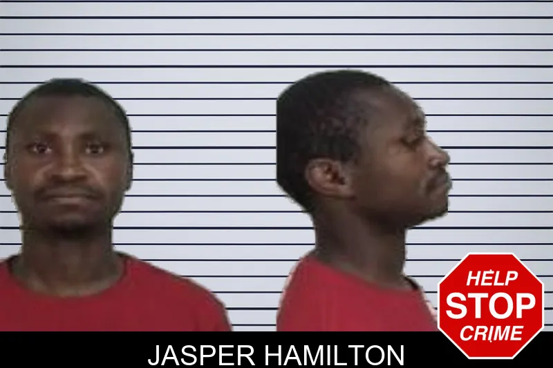 Jasper Hamilton mugshot – Camden County , Georgia Jasper Hamilton mugshot