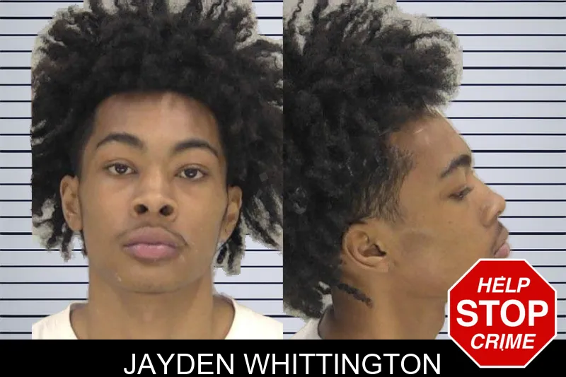 Jayden Whittington mugshot