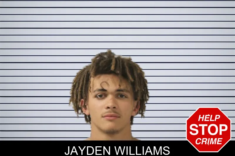 Jayden Williams mugshot