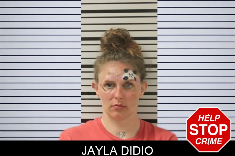 Jayla Didio mugshot