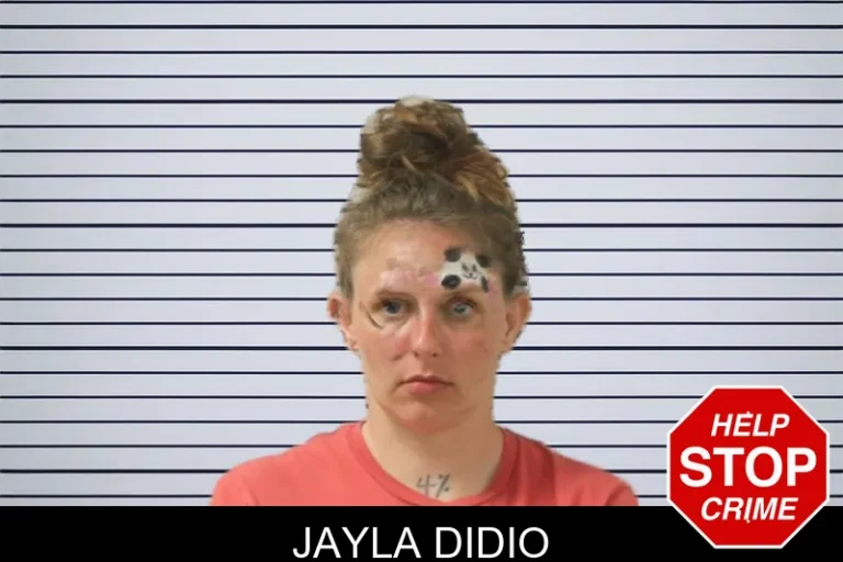 Jayla Didio mugshot – Toombs County , Georgia Jayla Didio