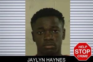 Jaylyn Haynes mugshot