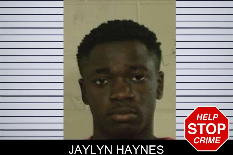 Jaylyn Haynes mugshot – Liberty County , Georgia Jaylyn Haynes mugshot