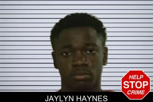 Jaylyn Haynes mugshot