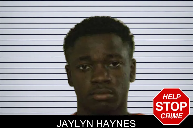 Jaylyn Haynes mugshot