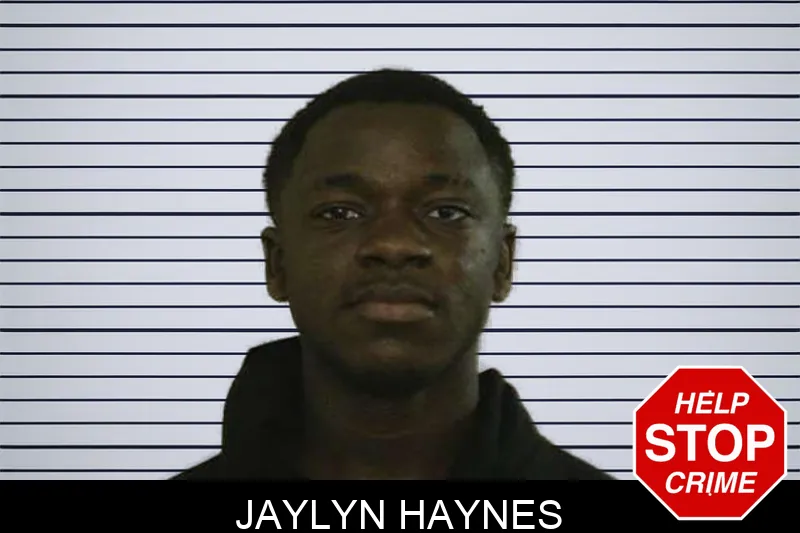Jaylyn Haynes mugshot