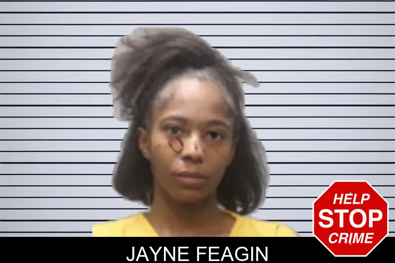 Jayne Feagin mugshot