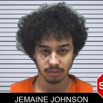 Jemaine Johnson mugshot
