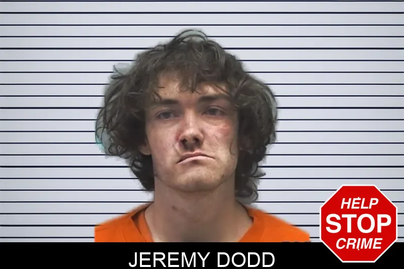Jeremy Dodd mugshot