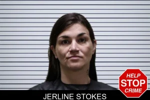 Jerline Stokes mugshot