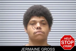 Jermaine Gross mugshot