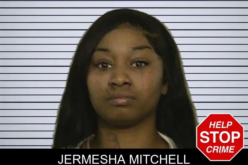 Jermesha Mitchell mugshot – Liberty County , Georgia Jermesha Mitchell mugshot