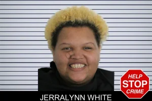 Jerralynn White mugshot