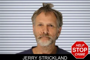 Jerry Strickland mugshot
