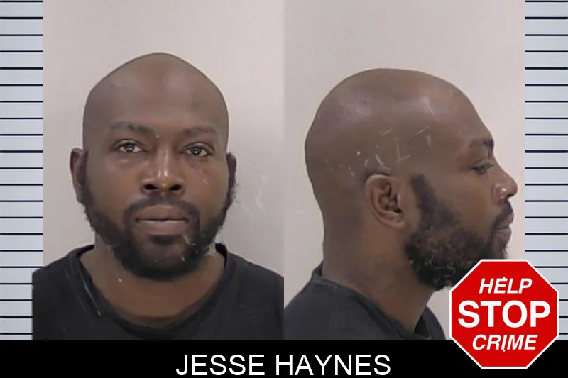 Jesse Haynes mugshot