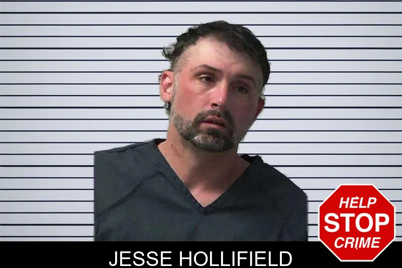 Jesse Hollifield mugshot – Gilmer County , Georgia Jesse Hollifield mugshot