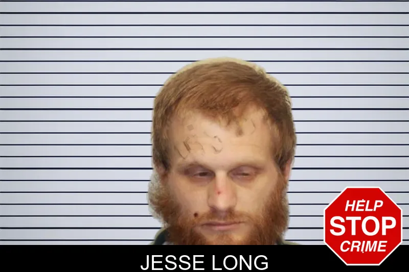 Jesse Long mugshot