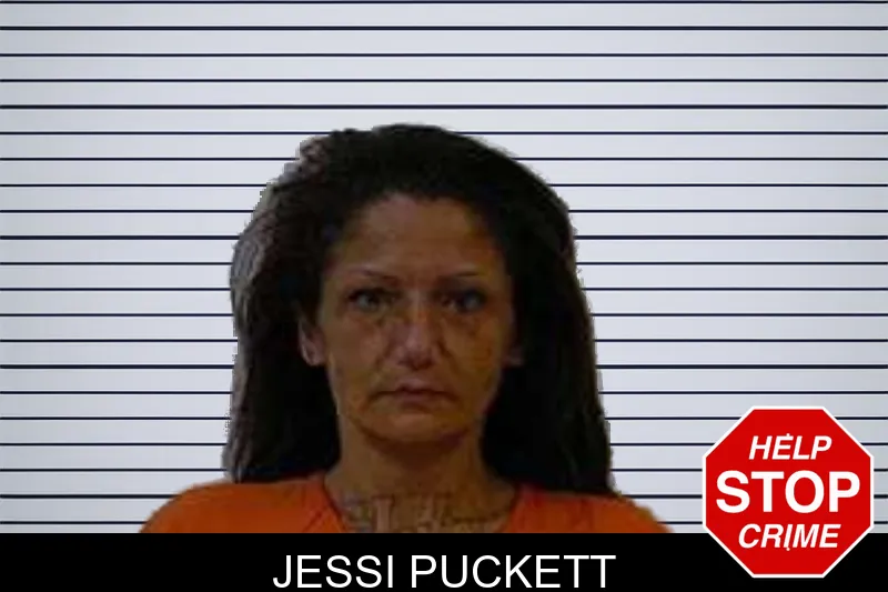 Jessi Puckett mugshot – Polk County , Georgia Jessi Puckett mugshot