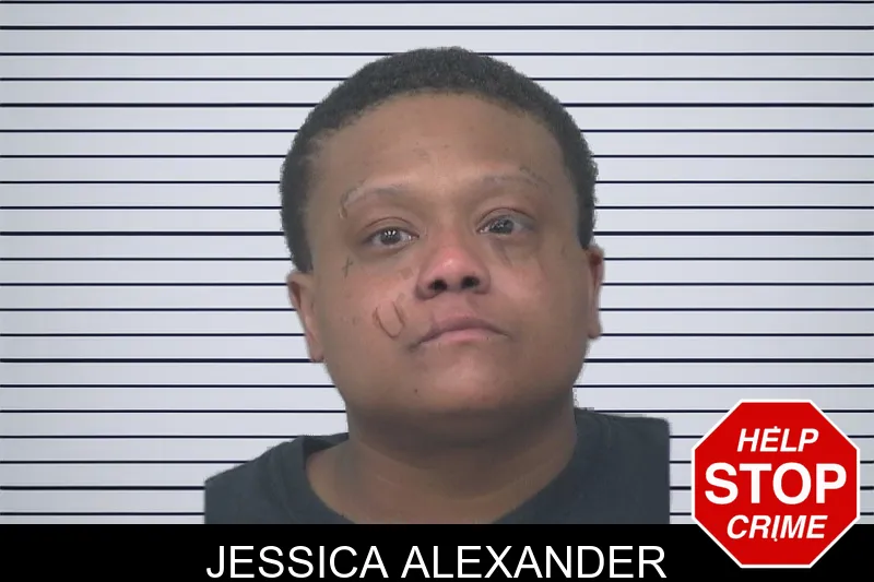 Jessica Alexander mugshot – Gwinnett County , Georgia Jessica Alexander mugshot