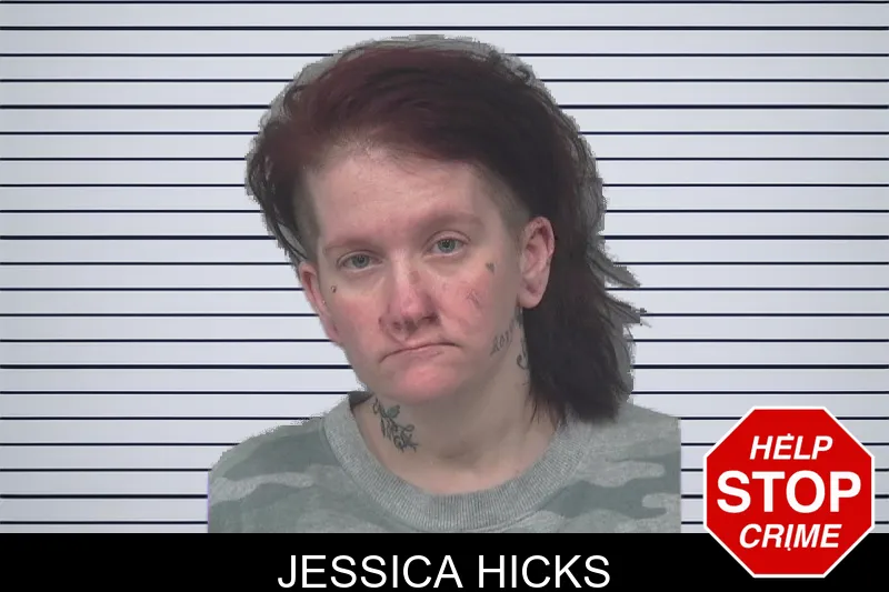 Jessica Hicks mugshot