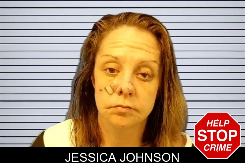 Jessica Johnson mugshot