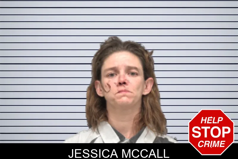 Jessica McCall mugshot