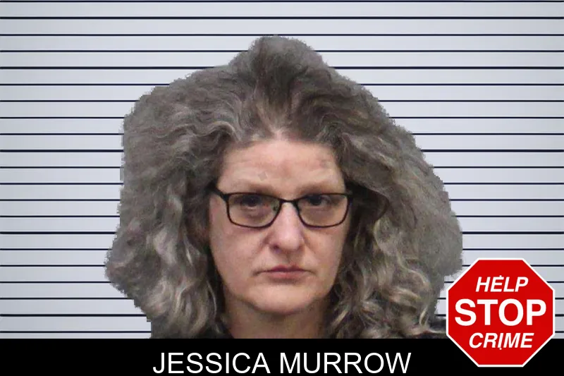 Jessica Murrow mugshot – White County , Georgia Jessica Murrow mugshot