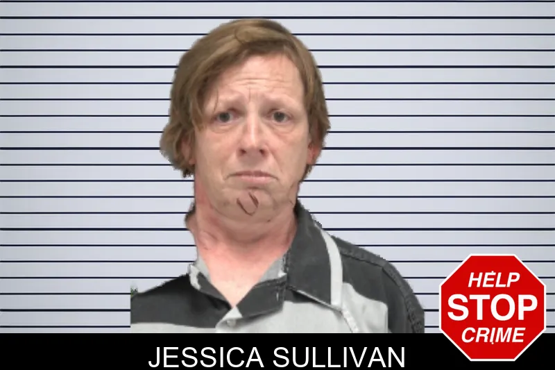 Jessica Sullivan mugshot – Dougherty County , Georgia Jessica Sullivan mugshot