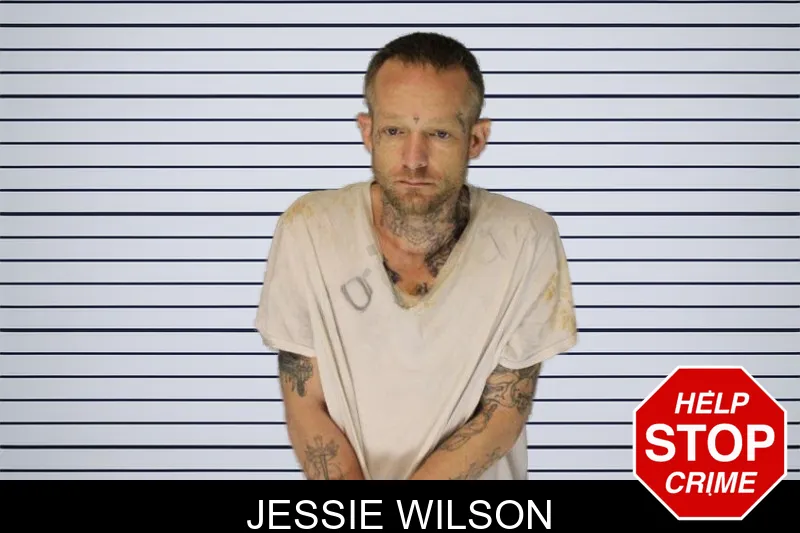 Jessie Wilson mugshot – Hall County , Georgia Jessie Wilson mugshot