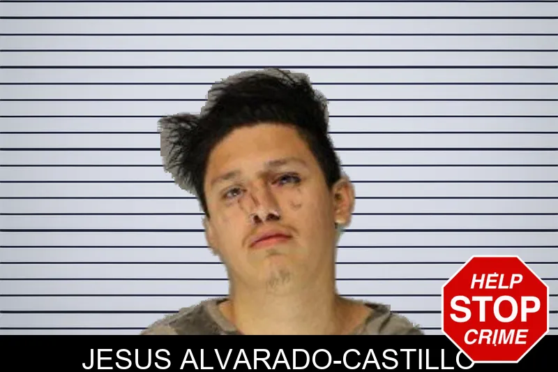 Jesus Alvarado-Castillo mugshot