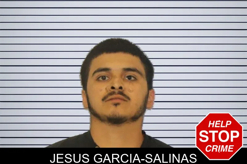 Jesus Garcia-Salinas mugshot