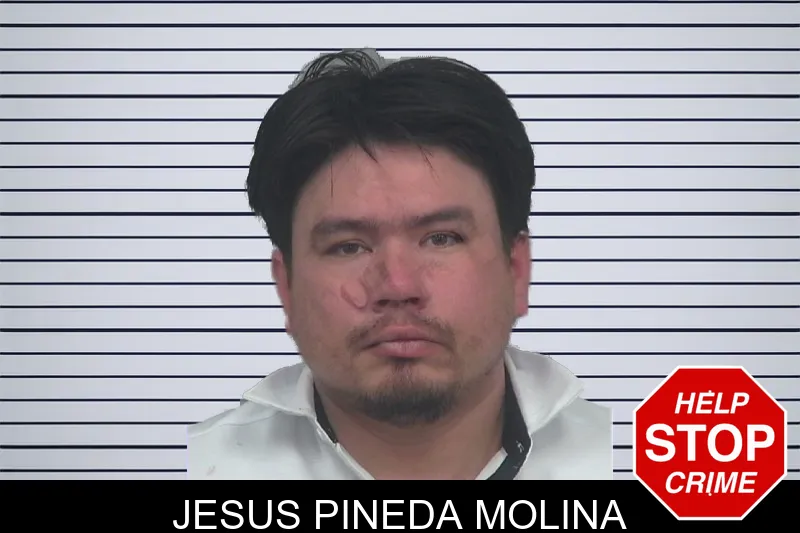 Jesus Pineda Molina mugshot