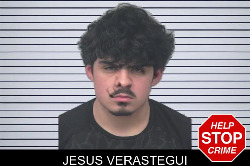 Jesus Verastegui mugshot