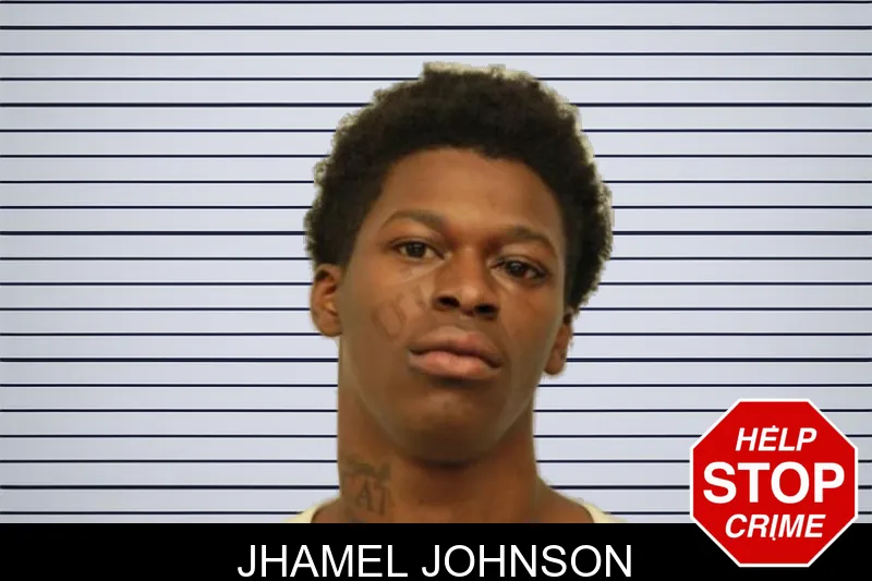Jhamel Johnson mugshot