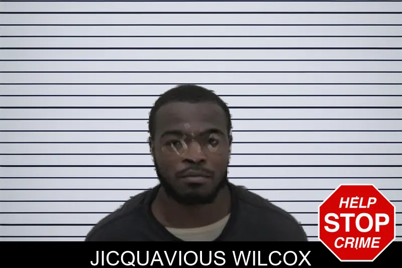 Jicquavious Wilcox mugshot
