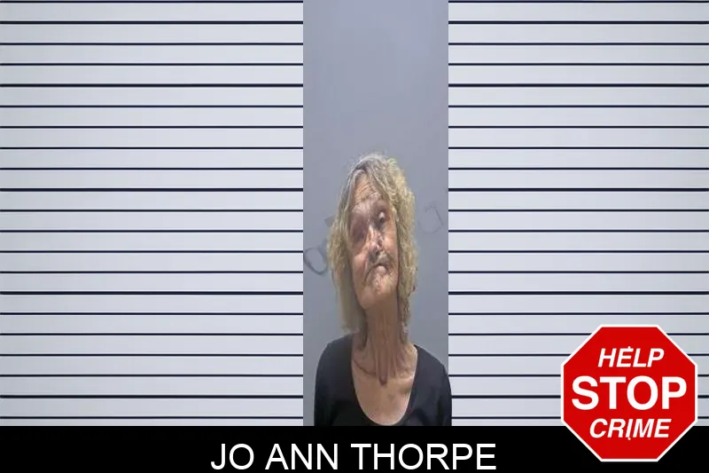 Jo Ann Thorpe mugshot – Charlton County , Georgia Jo Ann Thorpe mugshot